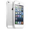 Apple iPhone 5 64Gb white - Карпинск